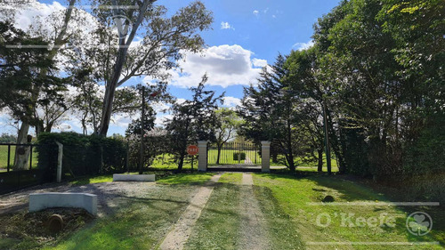 Imagen 5 de 14 de La Vikkina, Barrio Residencial- Lote De 309 M2 - Cumplí Tu Sueño, Viví Tranquilo