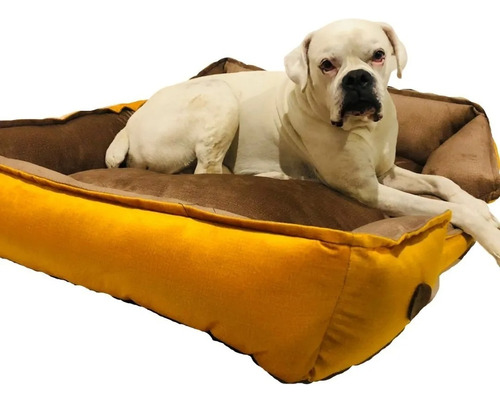 Cama Colchoneta Premium Talla M Para Perros