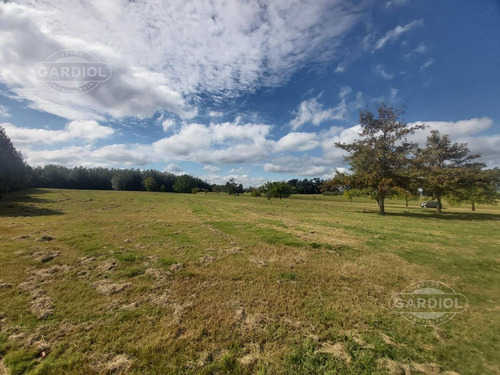 Imagen 27 de 28 de Terreno Barrio Privado 7414 Mts Camino De Los Horneros- Countrie Quinta De Los Horneros