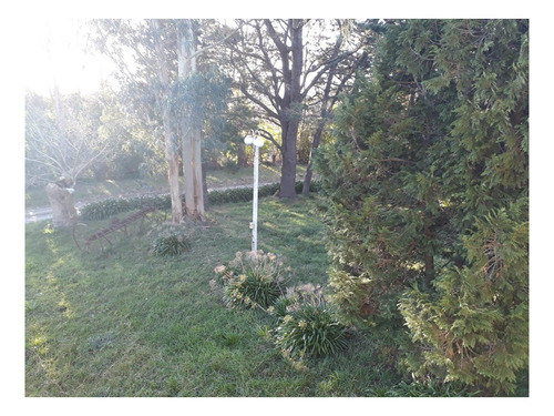 Imagen 15 de 23 de Campo 5 Ha Arboledas Añosas 2 Piletas Natac. Complejo C/instalac. Y Vvda Aptas Varios Destinos