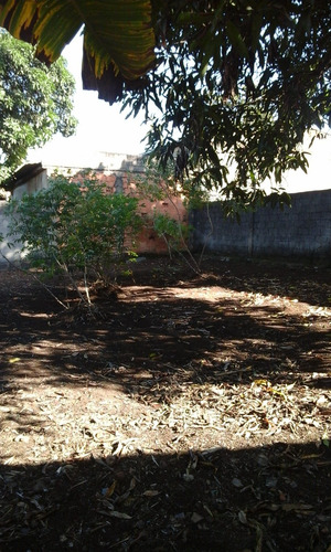 Casa Velha