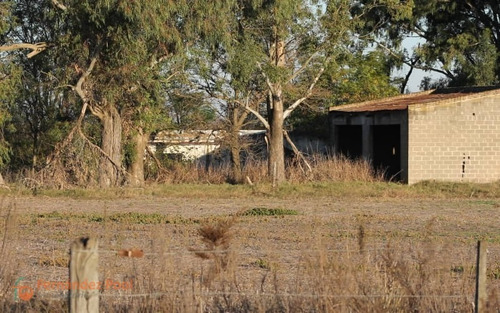 Imagen 7 de 23 de Oportunidad Campo En Zavalla