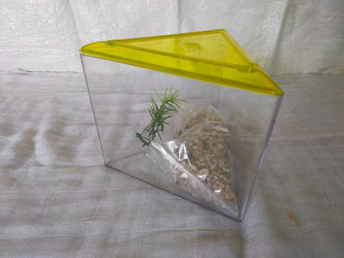 Kit Bettera Triangular Con Tapa Chica Lee´s