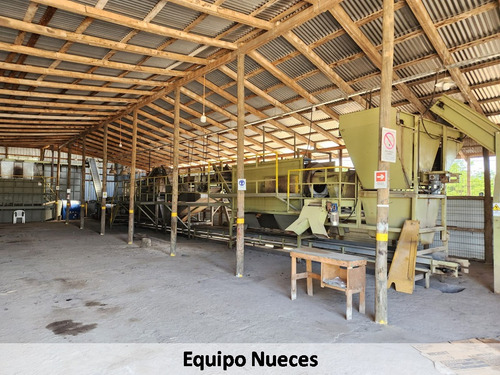 Campo Nogales Productivo Oportunidad