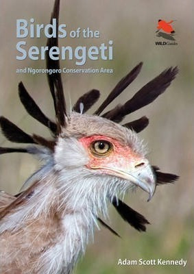 Birds Of The Serengeti - Adam Scott Kennedy (paperback)
