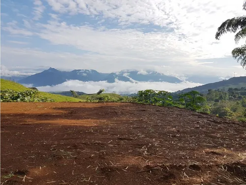 Lotes En Venta En El Suroeste Antioqueño