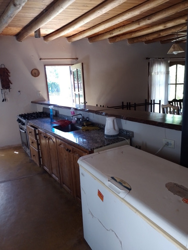 Imagen 4 de 11 de Alquiler Casa Quinta,parquizado, Pileta Vistalba Mendoza