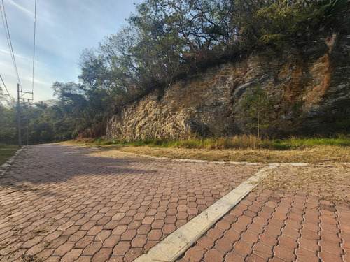 Venta Lote Gladiola 26 En Calle Privada Con Bonitas Vistas, Proyecto Incluído Y Con Todos Los Servicios En Fraccionamiento Rancho San Diego Ixtapan De La Sal Edomex
