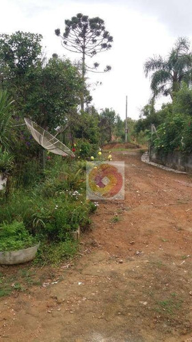 Imagem 4 de 30 de Chácara Com 3 Dormitórios À Venda, 12300 M² Por R$ 350.000,00 - Avencal - Mandirituba/pr - Ch0008