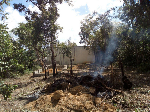 Imagem 7 de 12 de Lote Para Comprar No Centro Em Felixlândia/mg - 2183
