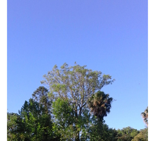 Terreno Venta Parque Tomkinson Ideal Emprendimiento O Proyecto Consulte Financiado Permuta