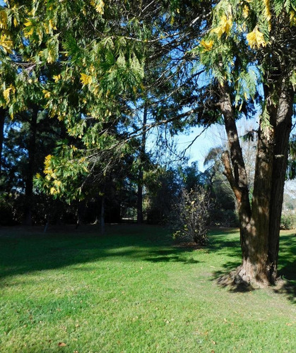 Imagen 3 de 21 de Venta Lote - Parquizado Y Con Perímetro- Parque Exaltación - Exaltacion De La Cruz