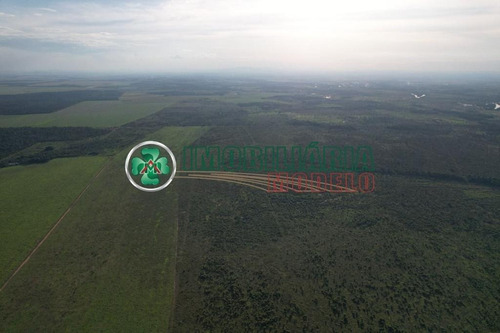 Imagem 8 de 11 de Fazenda Em Santana Do Araguaia - Pa (cód. 214) No Pará A Venda