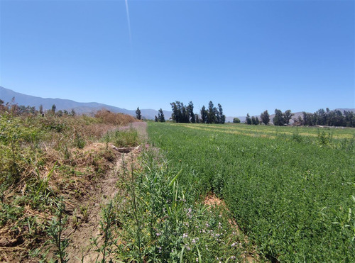 Terrenos Agrícolas Con Agua Venta María Pinto Curacavi