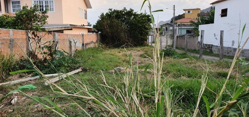 Terreno Para Venda Em Imbituba, Centro - 779_2-961874