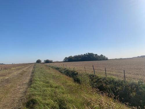 Imagen 2 de 3 de En Venta Campo Agricola - A 10 Km De Junin (ba) - 26 Ha