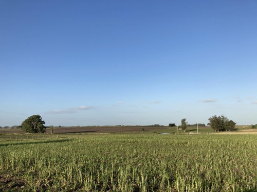 Imagen 4 de 14 de Campo De Casi 12 Hás En Ruta 40
