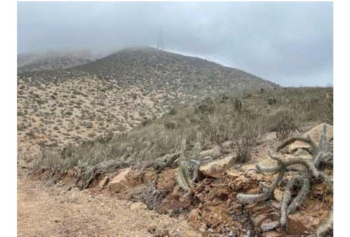 Terreno Agricola Ganadero 1.368 Has, Pan De Azúcar, Coquimbo