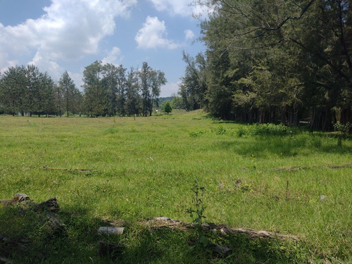 Terreno Campestre A La Venta En Frac. Manantial , Xalapa, Veracruz