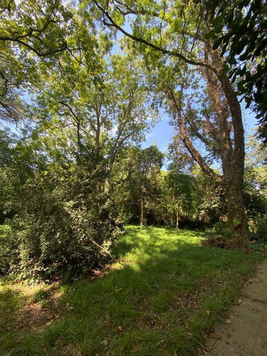 Imagen 9 de 17 de 27 Entre 420 Y 422 - Lote En Venta - Villa Elisa, La Plata