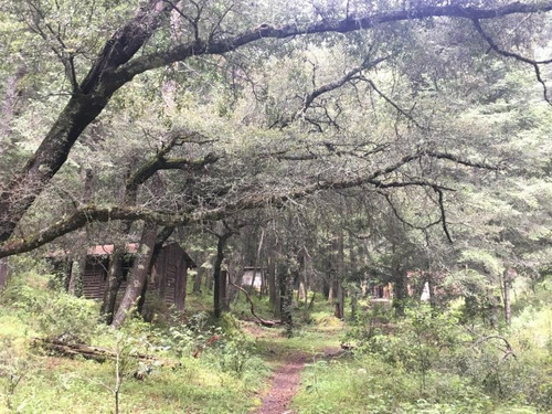 Imagen 6 de 8 de Terreno En Venta Mineral Del Monte Centro