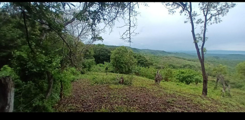 Imagen 17 de 30 de Se Vende Finca De 154 Manzanas