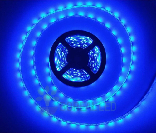 Fita Led Azul Fonte 5 Metros Dupla Face S/ Silicone 2835 Tensão de operação 12V 110V/220V