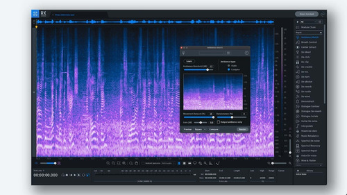 Imagem 3 de 4 de Izotope Rx 9 Advanced | Melhor Plugin Para Reparo De Audio