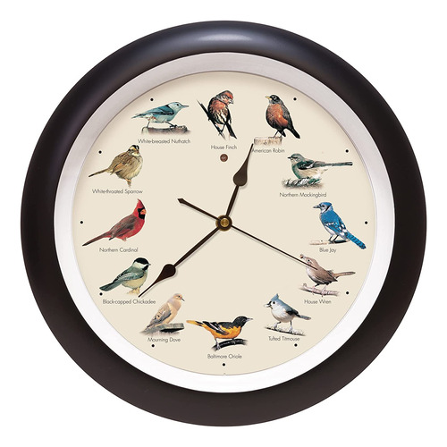 Reloj De Pared Original Para Pájaros Cantantes, 13 Pulgadas