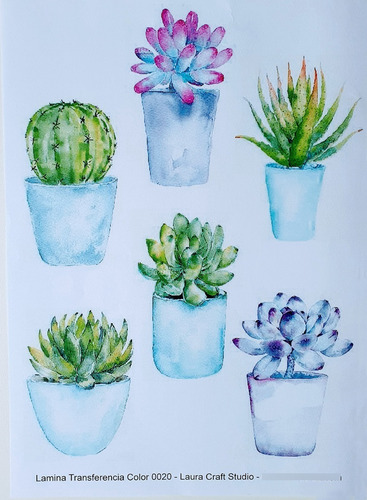 Imagen 2 de 5 de Transferencia Color Set Suculentas Y Cactus Laura Craft
