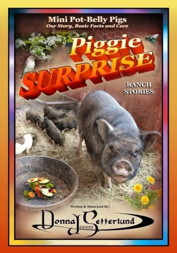 Piggie Surprise Mini Potbelly Pigs, Story, Basic Facts And C
