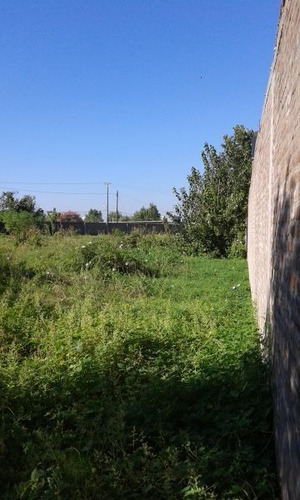 Imagen 7 de 9 de Excelente Lote En Venta De 3350m2 - Lomas De Zamora