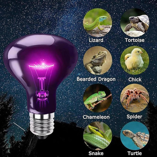 Lâmpada Noturna De Lâmpada De Lâmpada 100w