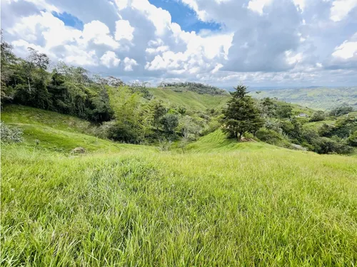 Se Vende Finca De 7 Hectáreas En San Roque, Antioquia