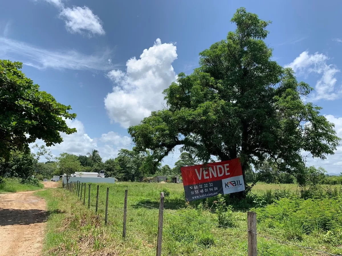 Venta Terreno Palenque Junto A Estacion Del Tren Maya Credit