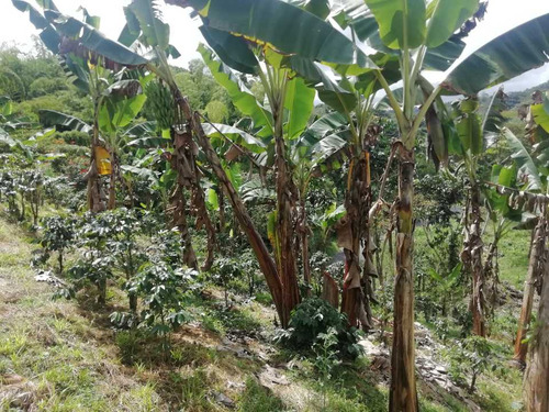 Imagen 17 de 30 de Vendo Finca En Avenida Condina Precio De Oportunidad
