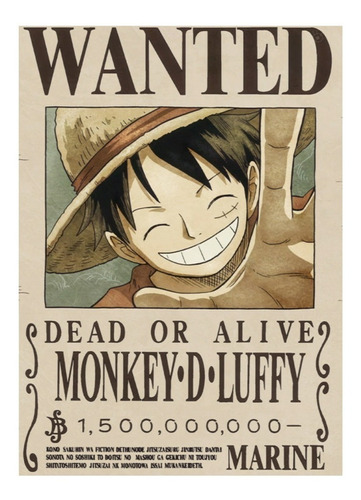 6 Poster Recompensas One Piece    De 21x29 