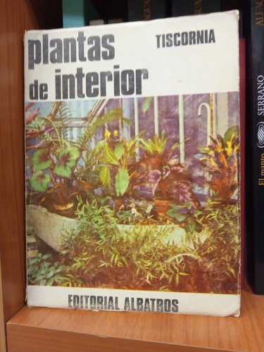 Plantas De Interior . Tiscornia Julio