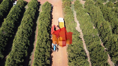 Imagem 20 de 30 de Fazenda À Venda, 5583424 M² Por R$ - Zona Rural - Franca/sp - Fa0004