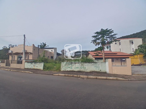 Imagem 4 de 4 de Terreno A Venda Em Balneário Camboriú - Nova Esperança - 6834