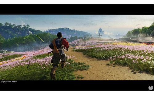 Imagen 3 de 8 de Ghost Of Tsushima Directors Cut Formato Físico Ps4 Original