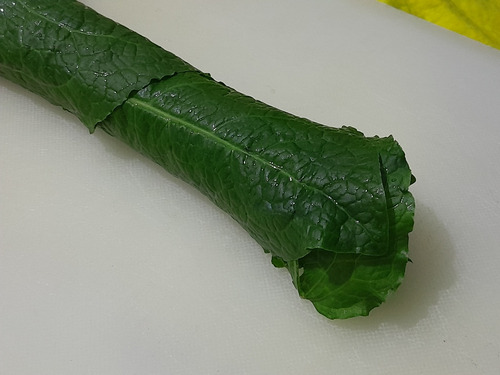 4 Mudas Língua De Vaca - Labaça - Panc - Rumex Obtusifolius