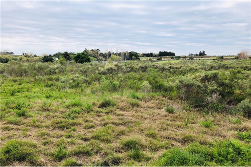 Venta De Campo Melilla , Camino Sere, Zona Chacras