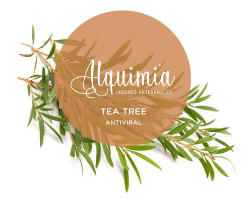 Jabón De Aceite Reciclado Con Tea Tree 60 G
