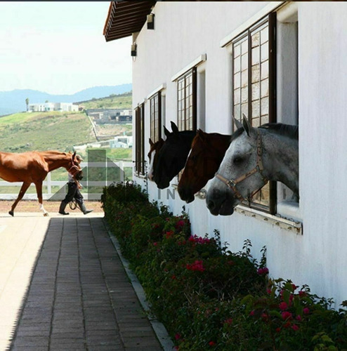 Imagen 1 de 11 de Terreno En Venta En Campo De Golf Tres Marias