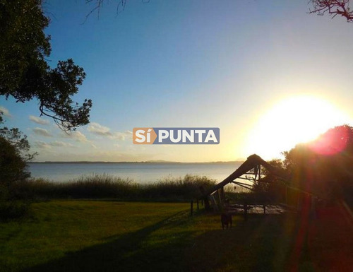 Imagen 3 de 13 de Chacra A La Venta En Laguna Del Sauce