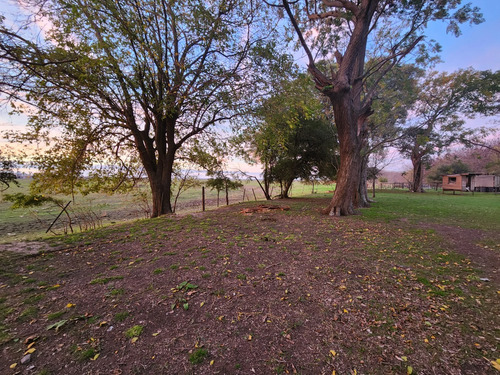 Imagen 7 de 8 de Alquilo Campo Ganadero Sobre Ruta 11 Con Casa Y Mejoras, 15 Min Del Centro De La Plata.