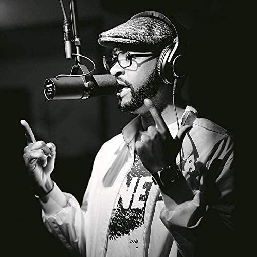 Imagen 4 de 6 de Shure Sm7b - Micrófono Dinámico Cardioide