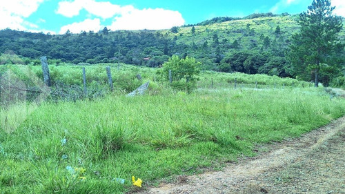 Imagem 3 de 3 de Terreno - Vila Nova - Ref: 216321 - V-216321