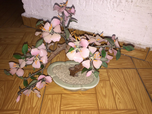 Imagen 1 de 6 de Planta De Flores De Jade Chino